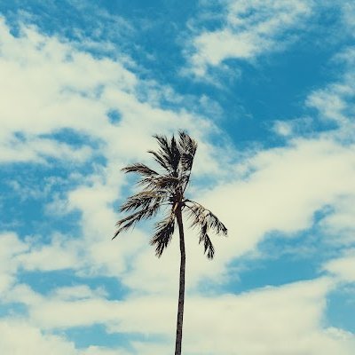 marlynkarim's profile picture. Art&Nerdy Little Things @MIT 💻🪐⚡️