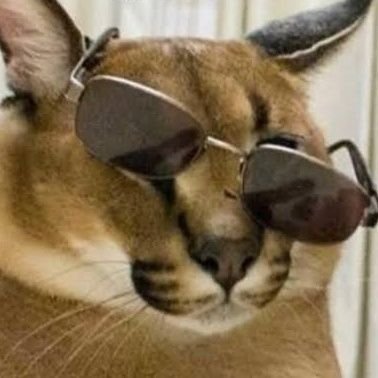 20 ||Only look for 🔞 Furries and Masked men
Don't look up my profile please.
If you still do, I have some fetishes and I like non-human characters. That's all.