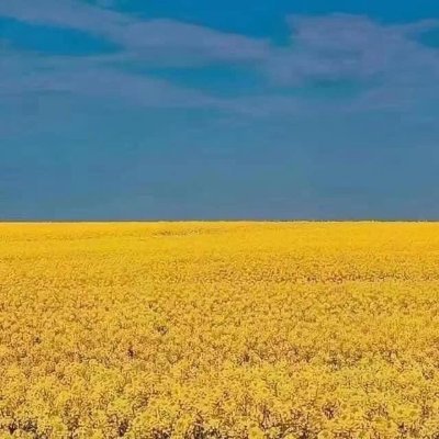 warsnkbug's profile picture. 
