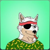 crypto addict (@flo170801) 's Twitter Profile