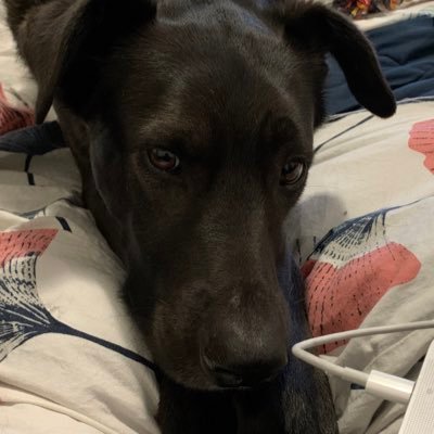 marcotose's profile picture. Sono quello in bici in mezzo alla strada, se dò fastidio mi spiace.