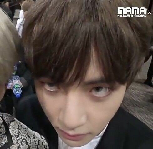 btsmeusviados's profile picture. 