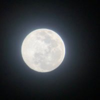 tomasgarzal (@tomasgarzal) 's Twitter Profile