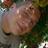 _Flugo13's profile image