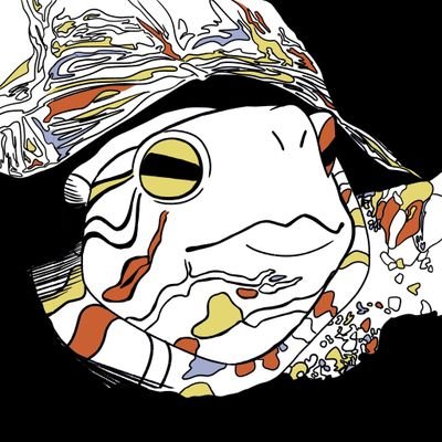 カメこ🐢のプロフィール写真