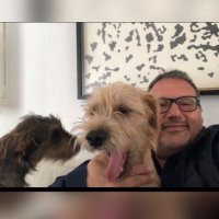 Gabriel (@lpezgabriel) 's Twitter Profile Photo Gabriel (@lpezgabriel) 's Twitter Profile Photo