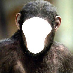 hombregaseosa's profile picture. 