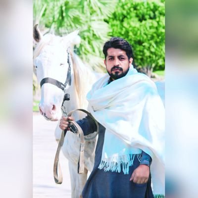 Web & Software Developer