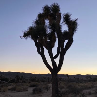 NateWDC's profile picture. fun account for shenanigans and mischief.