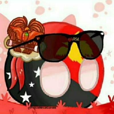 🇵🇬 Papua-Nova Guiné 🇧🇷さんのプロフィール画像