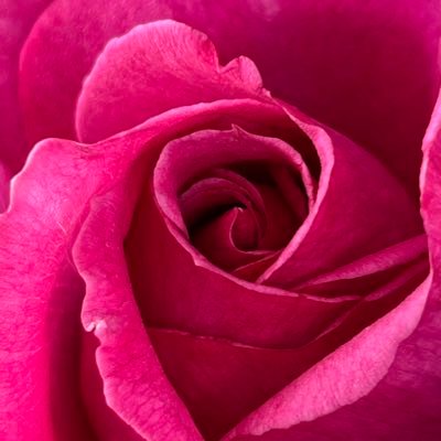 QJ_Anna's profile picture. 