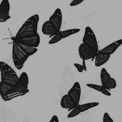 antimatterism's profile picture. bukan akun ilmiah