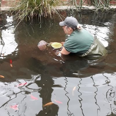 ThurratHayley's profile picture. Gardener at Belfast Botanic Gardens.