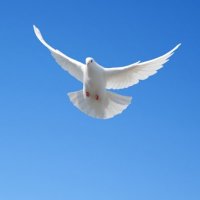 Torefractal (@chafinette) 's Twitter Profile