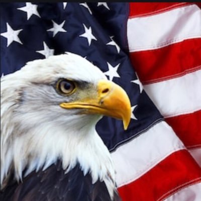 LynnDoe88's profile picture. God First✝️ Proud Patriot 🇺🇸MAGA🇺🇸 🚫Porn🚫DMs