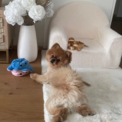 Melymel1985's profile picture. 