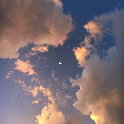 あんにんさんのプロフィール画像