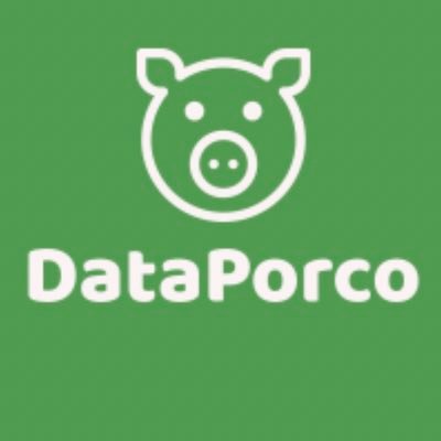 DataPorco Profile Picture