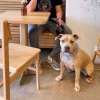 GP Productions (@gpproductions20) 's Twitter Profile