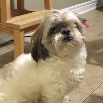 Sum1WhoExists's profile picture. Hi I mak YouTube Videos https://t.co/TxUCiSJ0Vw 🇨🇦