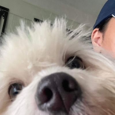 ayeyeai's profile picture. 