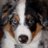 Twitter result for Simply Yours from Questio51452872