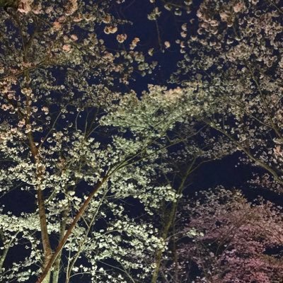 Potofu0313's profile picture. フジグラン東広島の2階で降臨爆誕。正式名称はポトフと彼のコメッツ。 冴えない大学1年坊主が集まって始動した物語はロマンス編、バンド編を経て最終章へ…