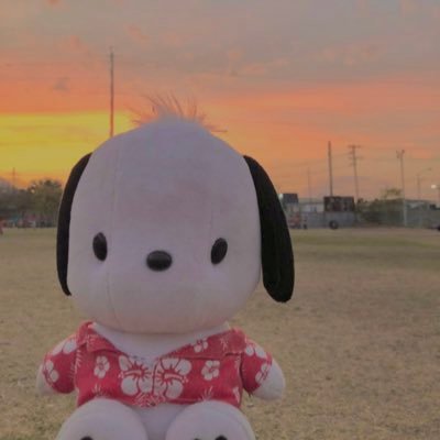 pribilot's profile picture. con Dios caminar y hasta el cielo llegar | 💚💛🌸