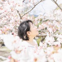 大船ランチガイド | ofuna.net (@ofunanet) 's Twitter Profile
