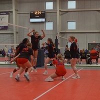 Alayna Akers (@alayna_akers) 's Twitter Profile