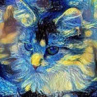 Yvonne French/OverEducatedCatLady/NO LISTS/DM🟧 ☮️(@Yvonnefrench469) 's Twitter Profile Photo