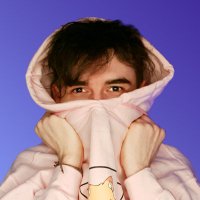 Foxdrop(@Foxdroplol) 's Twitter Profile Photo