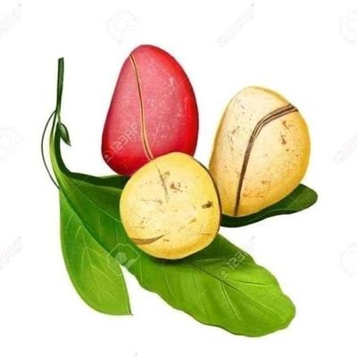 yahyafarouk70's profile picture. Épris de de courage et détermination afin de contribuer au développement humain dans tous les domaines en côte d'ivoire alors tout partenariat est nécessaire