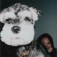 Rachel Liang (@rachelliang5602) 's Twitter Profile