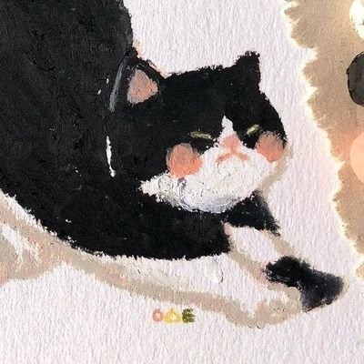 Ayapapaya @ .com ☁️
