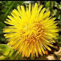 Claude Mike Monecel© 🇪🇺 🌈 (@unclemichael60) 's Twitter Profile