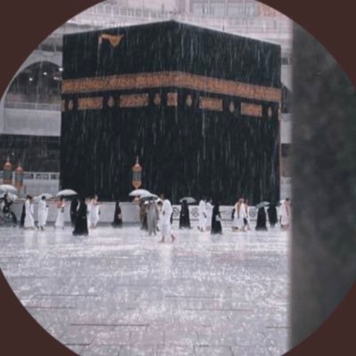 اللهم أسعدنا سعادة لا يعقبُها حُزن وسخر لنـا من حـظوظ الدنيـا أطيبهـا🕊❤.