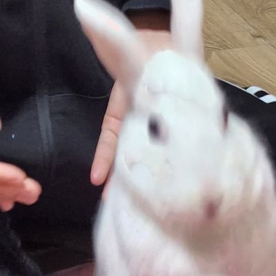 홍시익는 중🍅さんのプロフィール画像
