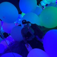 ねこしゃけ (@neko__syake) Twitter profile photo