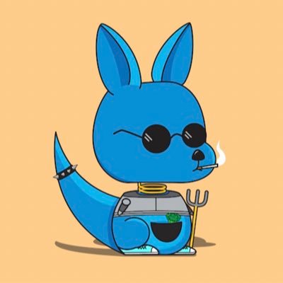 @RowdyRoosNFT #51 #3920 #5919 | 🦘 🚀 #BOBL #HODL