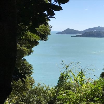 00025ritsuki's profile picture. 津→阪大基礎工化応1回生/大学用にTwitter始めました。