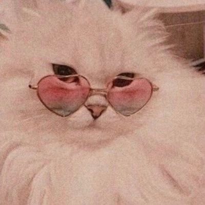 FahsBint_Buu's profile picture. MUSLIM. Bismillah. Astaghfirilah. Alhamdulilah. 🫱🏼‍🫲🏽🫀🤌🏼✨