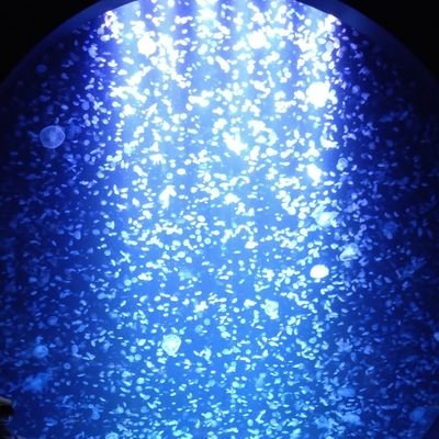 etra_gf's profile picture. ゆったり社会人騎空士のグラブル垢です。ランク200↑ 十天統べ解放済、限界超越は６人、十賢者は全キャラ取得！F／R／Bお気軽にお願いします