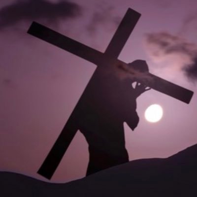 sircattywampus's profile picture. 