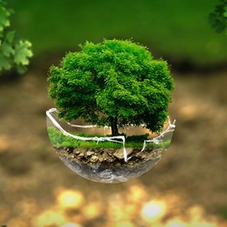 Learning from nature | Always be humble | Entrepreneur