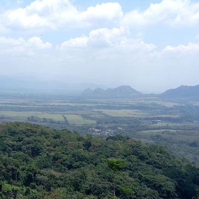 Nisho275's profile picture. 