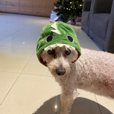 Loukas_JCU's profile picture. 