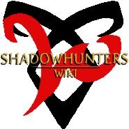 Shadow Hunters, Wiki