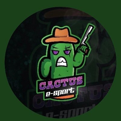 hearthstone player & streamer for Cactus E-Sport