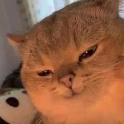 ismayadely's profile picture. 